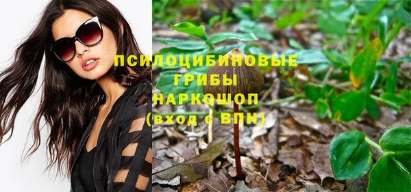 синтетический гашиш Няндома