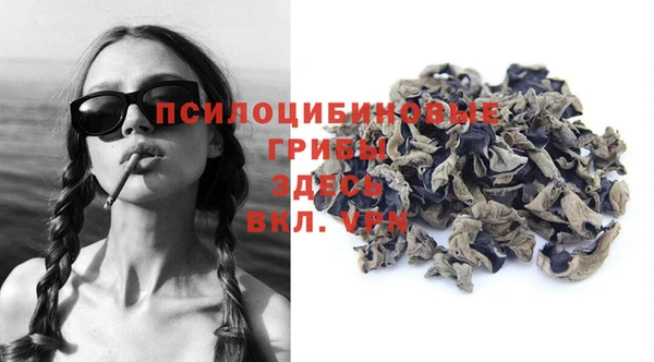 трава Новодвинск