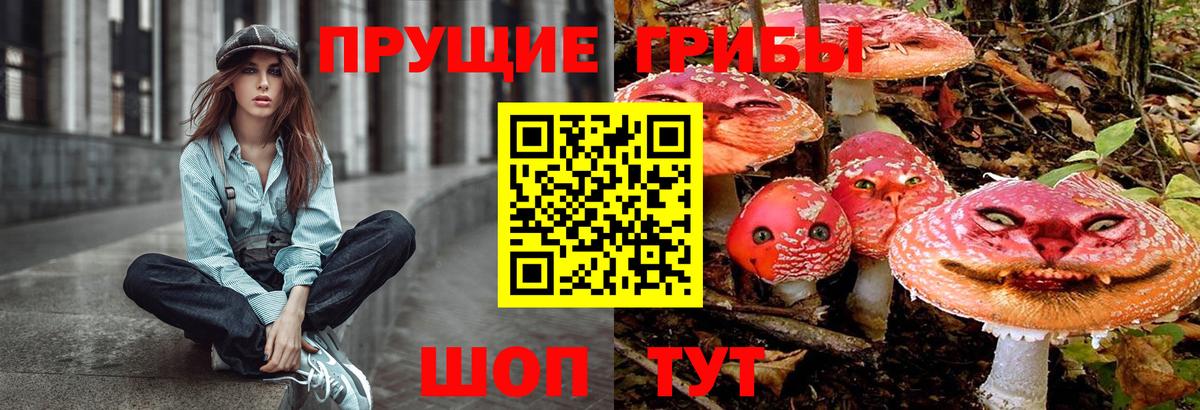 Галлюциногенные грибы мицелий Отрадное